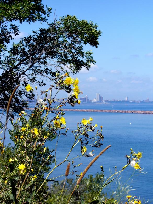 Free stock image of Milwaukee Bluffs created by Brian