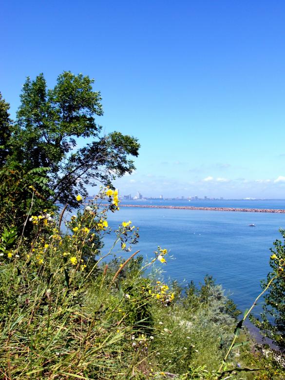 Free stock image of Milwaukee Bluffs created by Brian