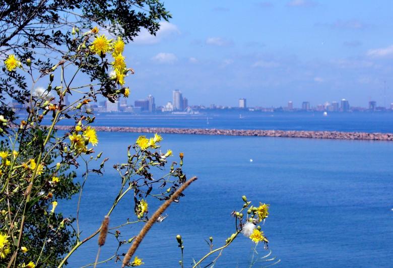 Free stock image of Milwaukee Bluffs created by Brian