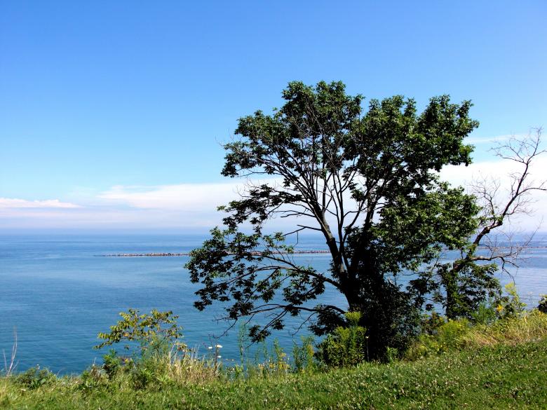 Free stock image of Milwaukee Bluffs created by Brian