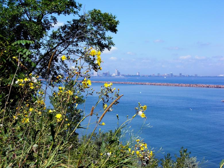 Free stock image of Milwaukee Bluffs created by Brian