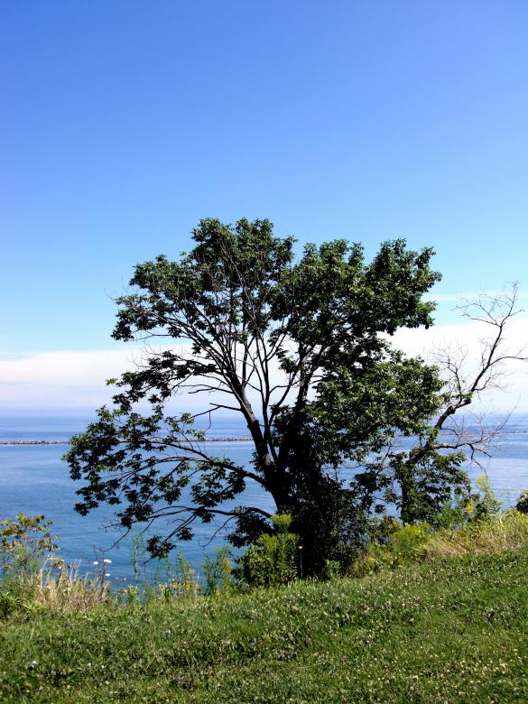 Free stock image of Milwaukee Bluffs created by Brian