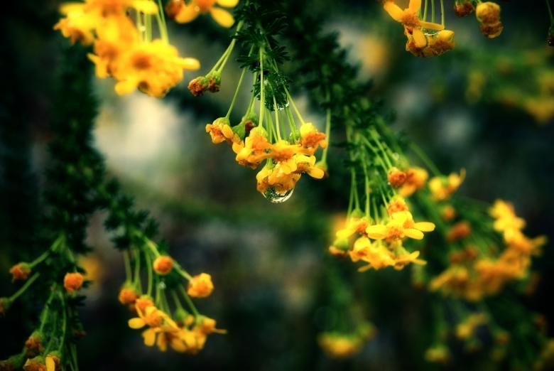 Free stock image of Raindrop created by Charl Christiani
