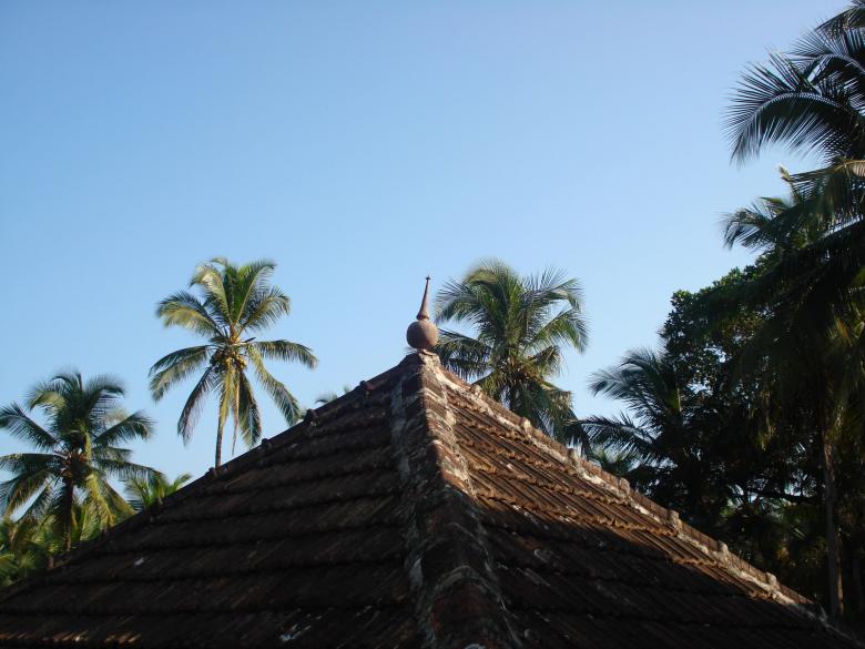 Free stock image of Roof and trees created by nakul gupta