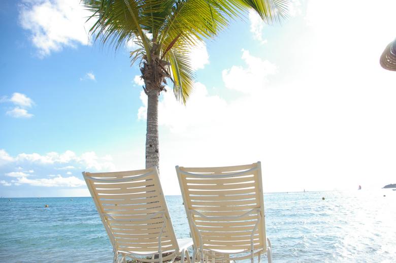 Free stock image of Holiday martinique created by frhuynh