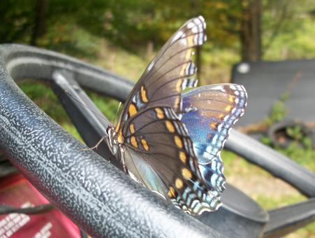 The Hitchhiker - Free Stock Photo