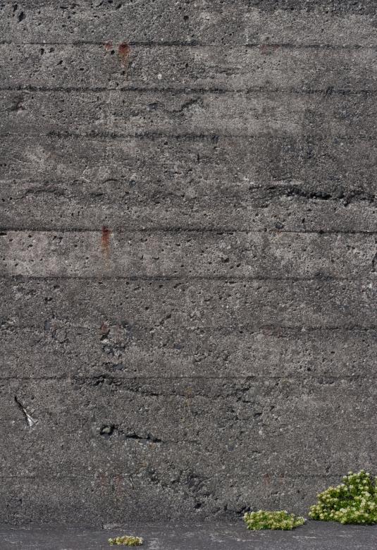 Free stock image of Gray Concrete Texture created by Bjorgvin