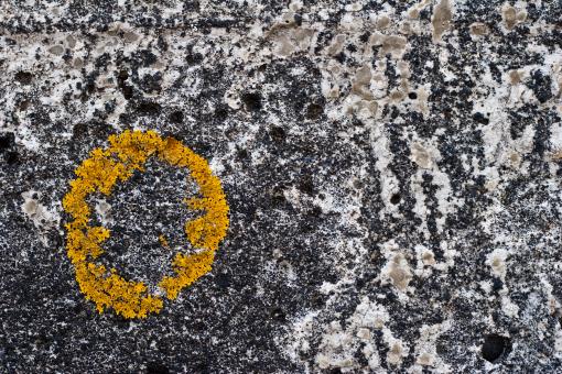 Free Stock Photo of Yellow Circle on Concrete