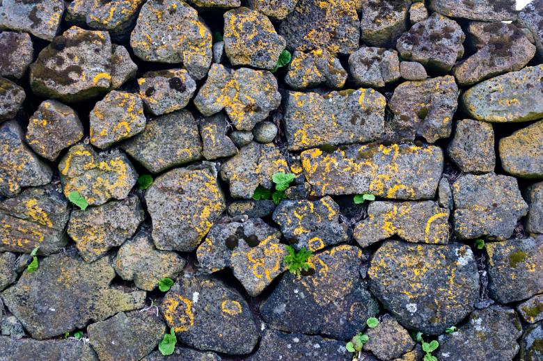 Free stock image of Stone Wall Texture created by Bjorgvin