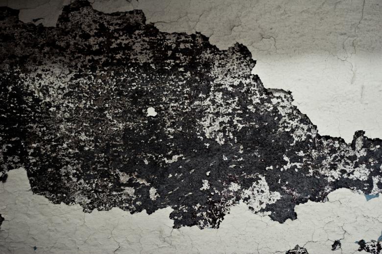 Free stock image of Peeled paint created by Bjorgvin