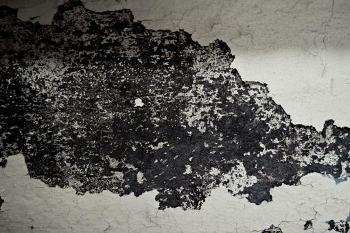 Free Stock Photo of Peeled paint
