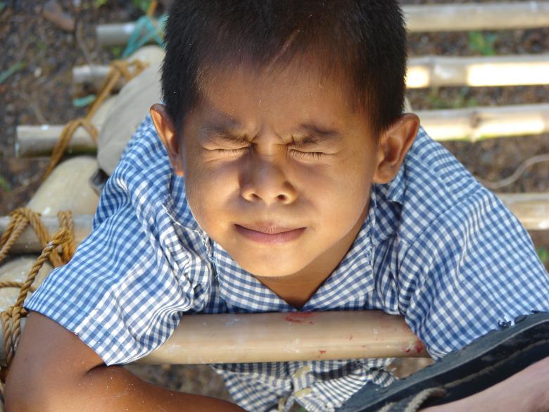 Free stock image of Boy on Ladder created by Stefan Giuliani