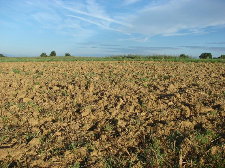 Free stock image of Field created by Stefan Giuliani