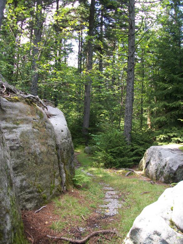 Free stock image of Forest Trail created by Nature Girl
