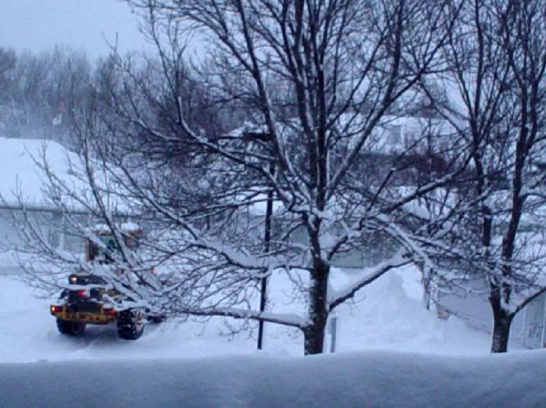 Free stock image of Winter created by michelle bartruff