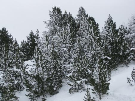Snow in Andorra - Free Stock Photo