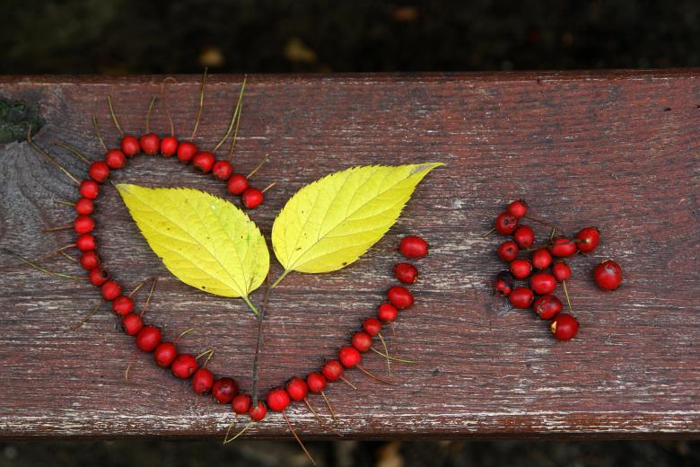 Free stock image of Autumn composition created by Hello Danda