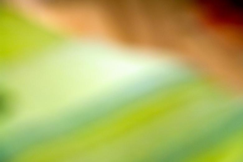Free stock image of Colors created by Hello Danda
