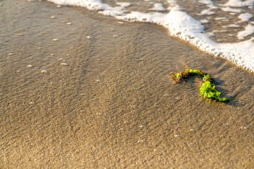 Beach II. - Free Stock Photo