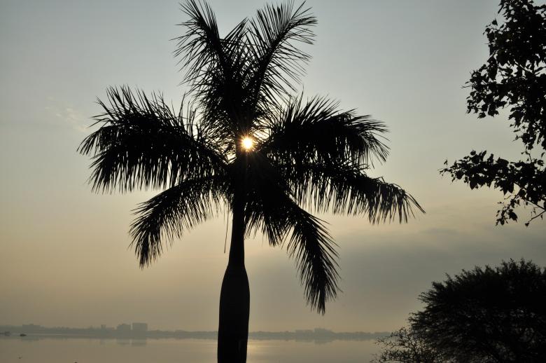 Free stock image of Sun Behind the Tree created by Sainath Chillapuram