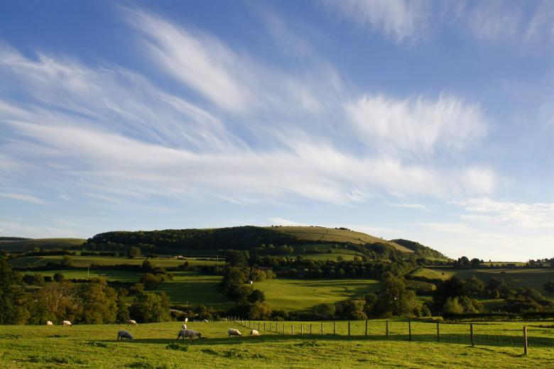 Free stock image of English countryside created by paul clifton