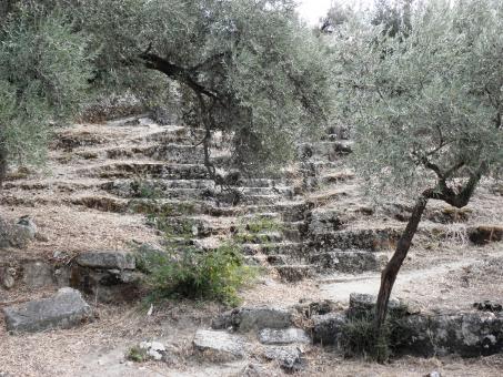 Ancient amphitheater in Herakleia - Free Stock Photo