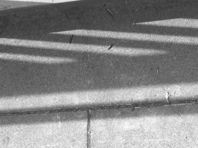 Free stock image of Shadow Patterns created by Kenton Bruno