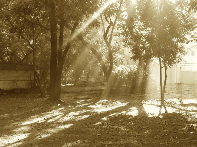 Free stock image of Sun rays created by Ed Davad