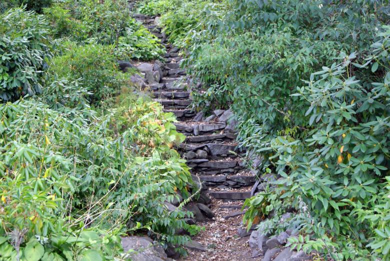 Free stock image of Nature's Stairway created by Brian Norcross