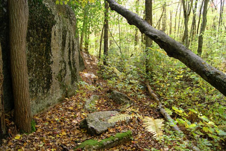 Free stock image of Forest Path created by Brian Norcross