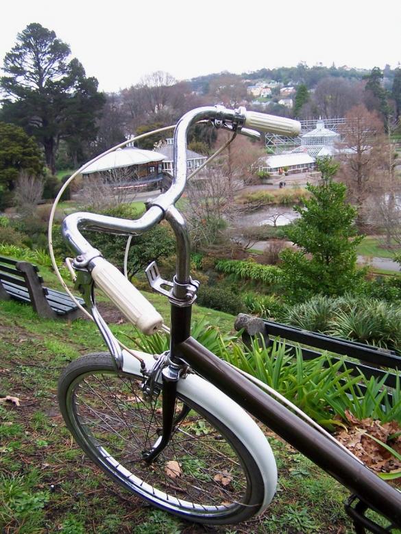 Free stock image of HEALING CRUISER at Dunedin Gardens created by Peter Alexander Robb