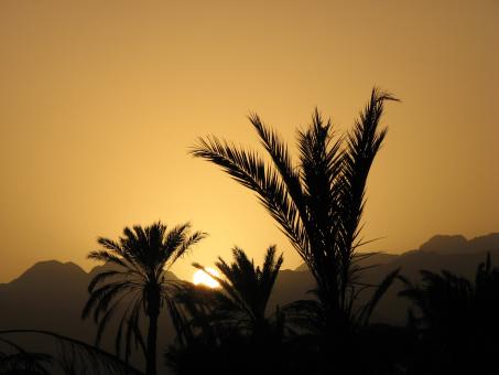 Sunset in Fujairah - Free Stock Photo