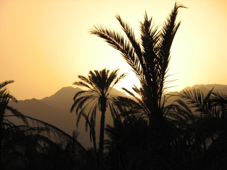 Free stock image of Sunset in Fujairah created by Saiyed Sajjad Imam Abidi
