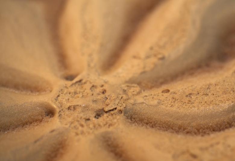 Free stock image of Chocolate ice cream created by Jakub Krechowicz
