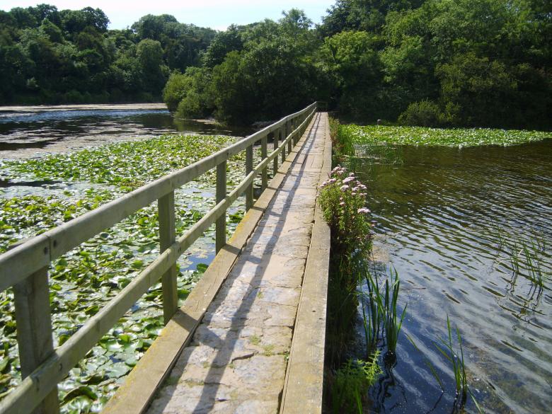 Free stock image of Bosh bridge created by Jemogz