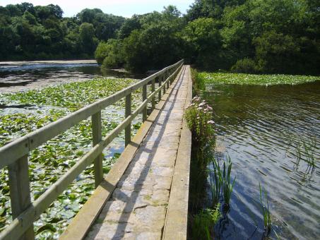 Bosh bridge - Free Stock Photo