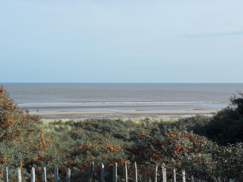 Free stock image of Beach 32 created by Georgina DeBurca