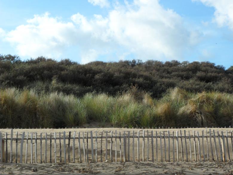 Free stock image of Beach 8 created by Georgina DeBurca