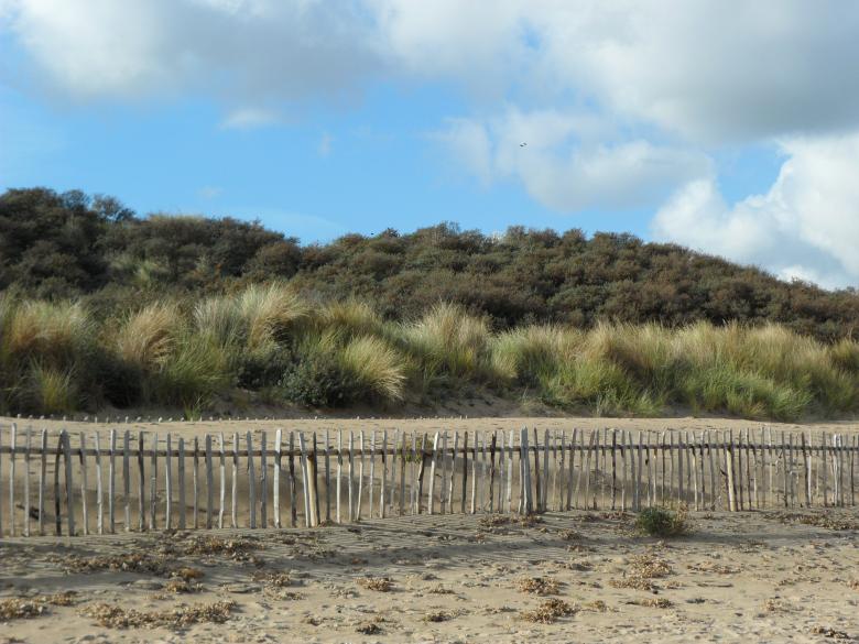 Free stock image of Beach 7 created by Georgina DeBurca