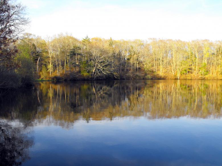 Free stock image of Very Calm Pond created by Brian Norcross