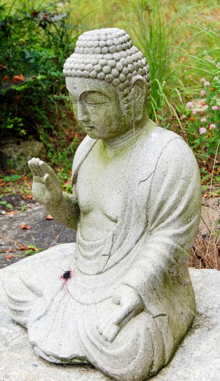 Free stock image of Buddha Statue created by Adam Garza
