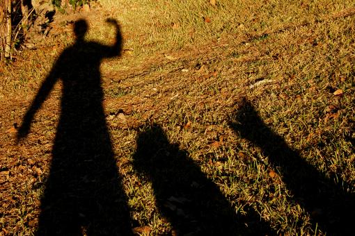 Shadows