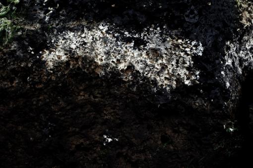 Free Stock Photo of White Rock Texture
