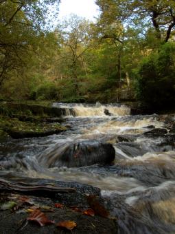Autumn River - Free Stock Photo