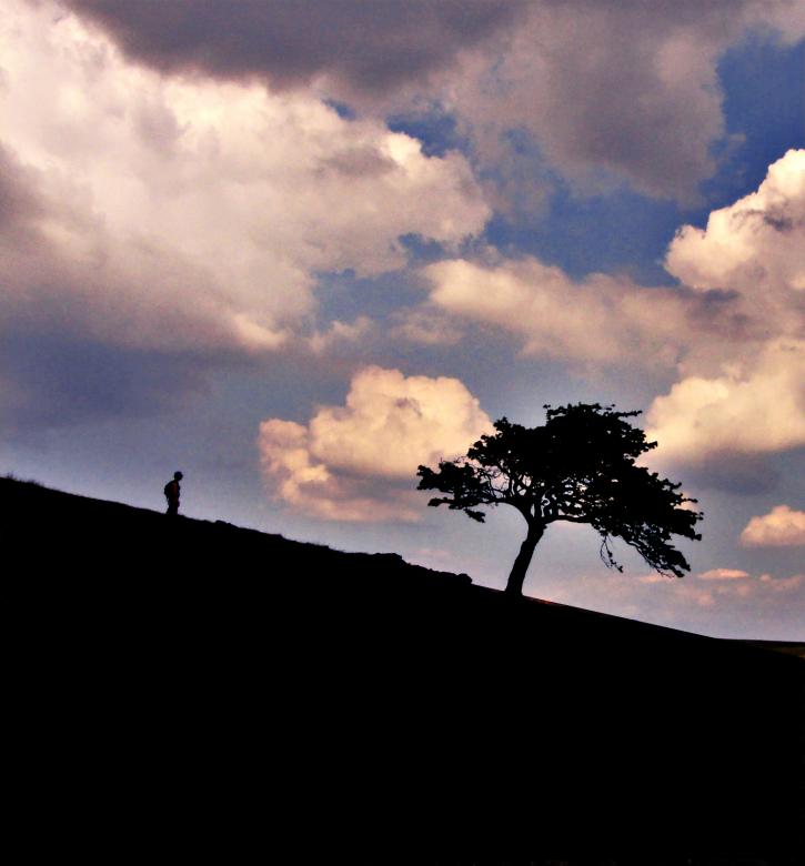 Free stock image of Hiker &amp; Tree created by Jason Clark