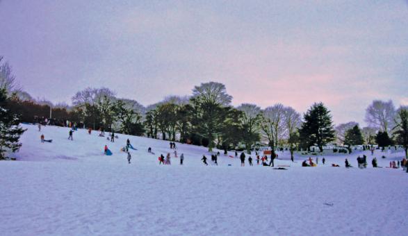 Lowry Sledging - Free Stock Photo
