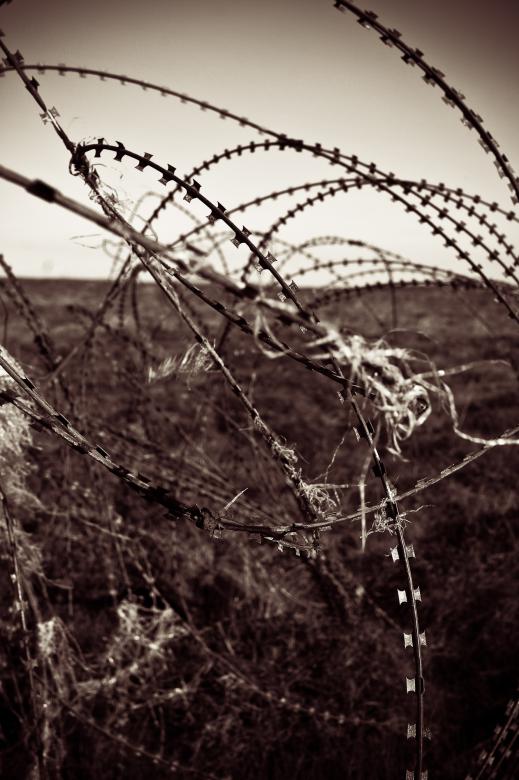 Free stock image of Barbed Wire created by Bjorgvin