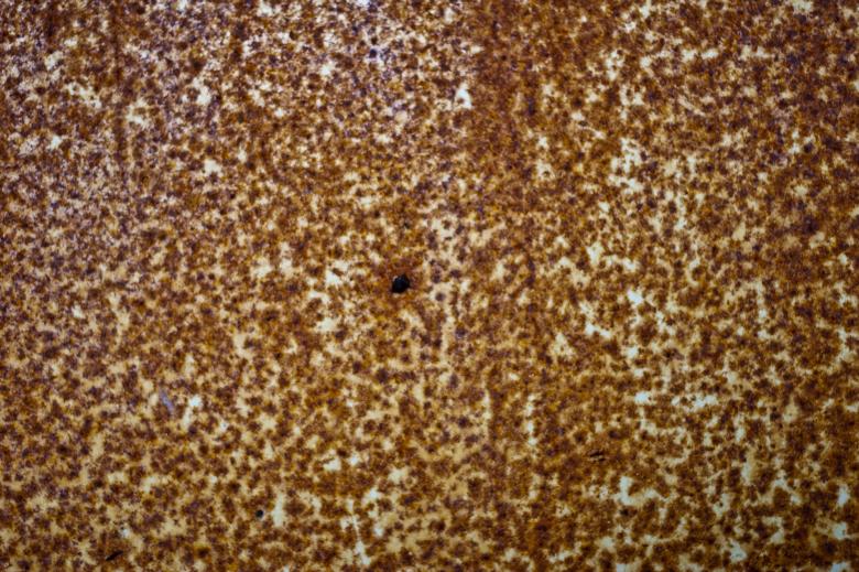 Free stock image of Rusted Metal Texture created by Bjorgvin