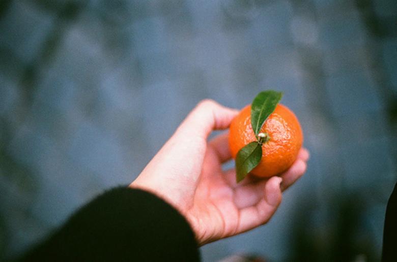 Free stock image of The tangerine created by Dasha