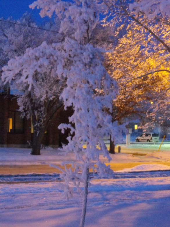 Free stock image of Snowy street created by Kyla M